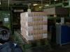 DSCN0900.JPG