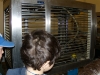 DSCN0931.JPG