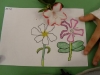 DSCN0158