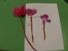 DSCN0160