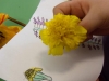 DSCN0163