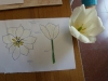 DSCN0166