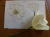 DSCN0167