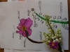 DSCN0168