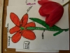 DSCN0169