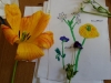 DSCN0175