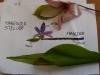 DSCN0177