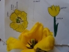 DSCN0178