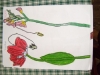 DSCN0184