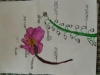 DSCN0188