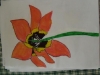 DSCN0191