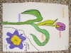 DSCN0206
