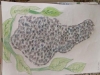 DSCN0223