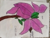 DSCN0233