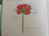 dscn0182
